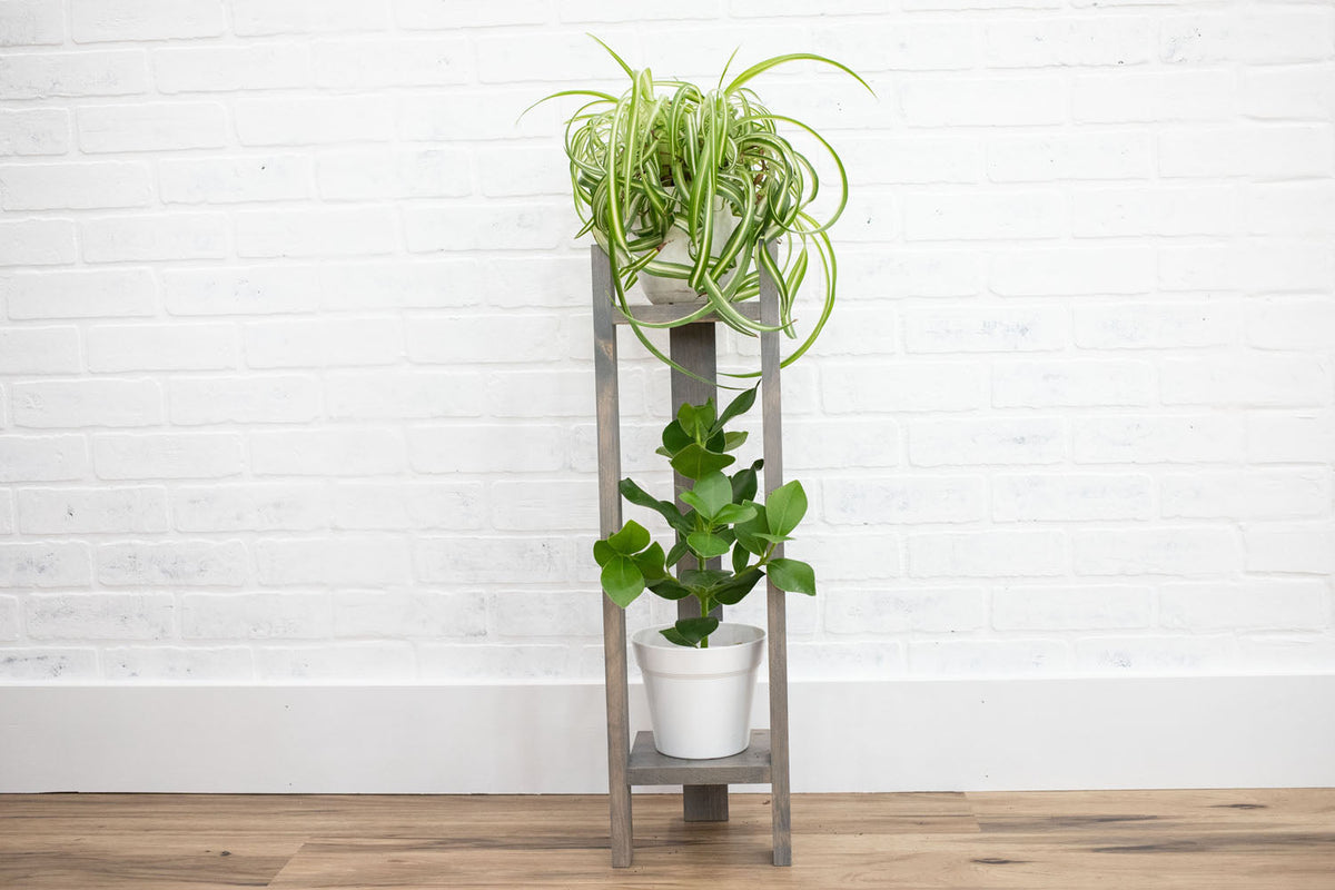 Two Tier Plant Stand