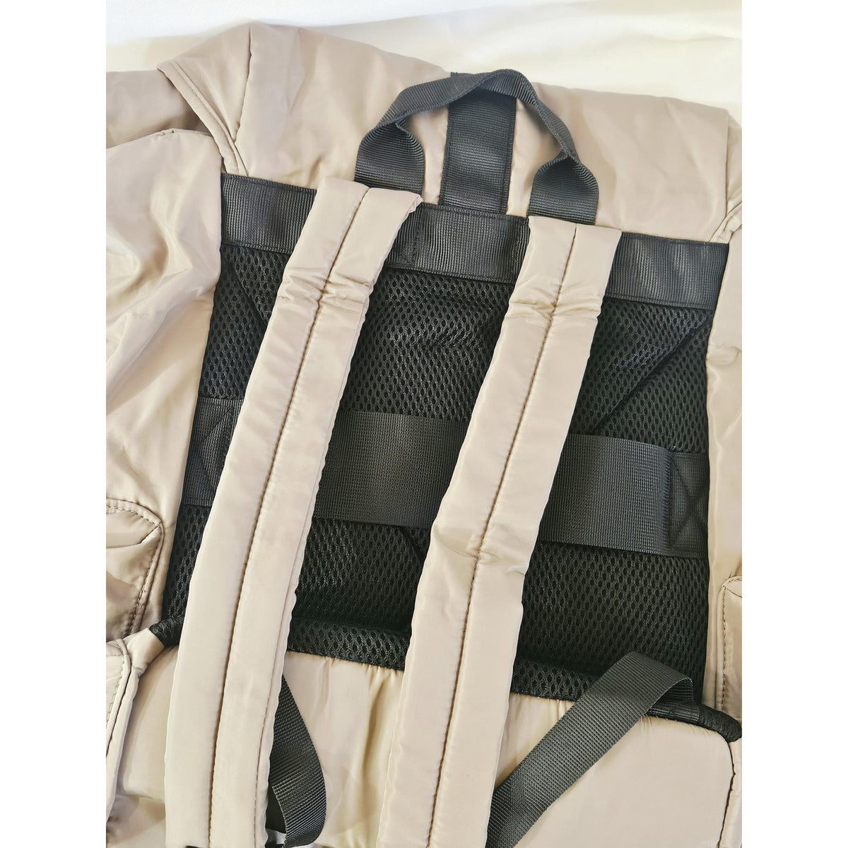 Backpack padded straps and mesh back